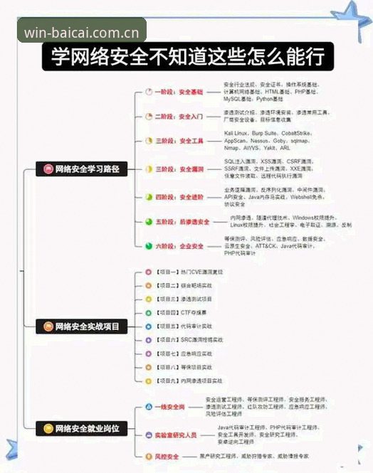 冠军白菜网全球玩法实用指南：从入门到精通的必备知识