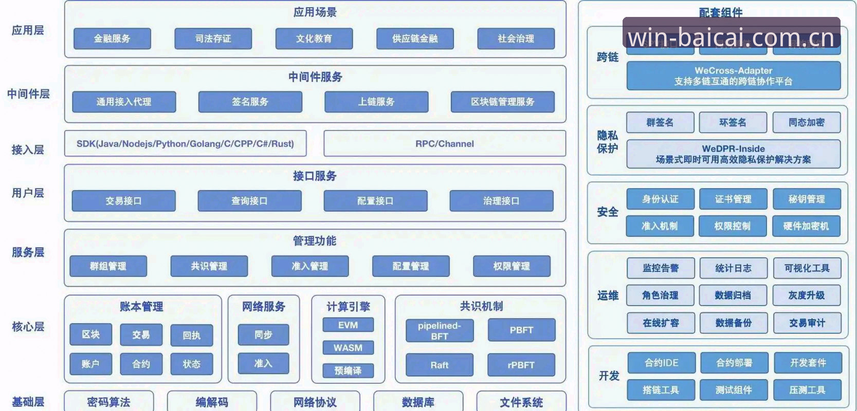 冠军白菜网平台最新评测：技术架构与用户体验深度解析