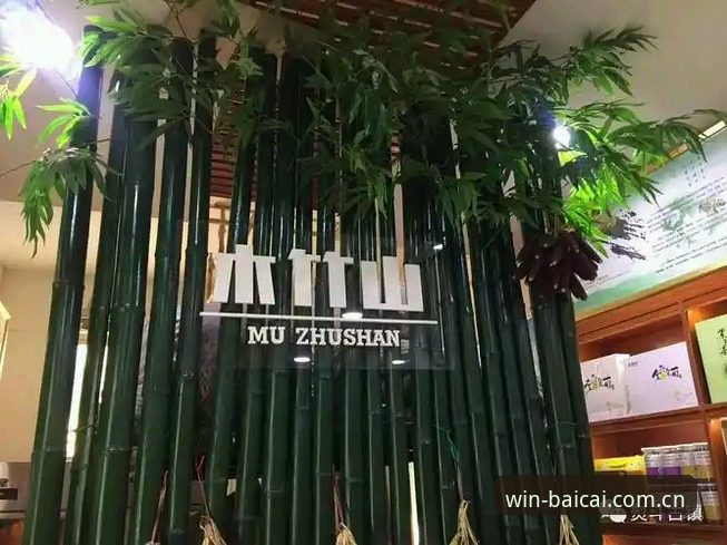 冠军白菜网行业领先 冠军白菜网平台资深用户实战心得分享:行业领先服务的深度体验与注册指南